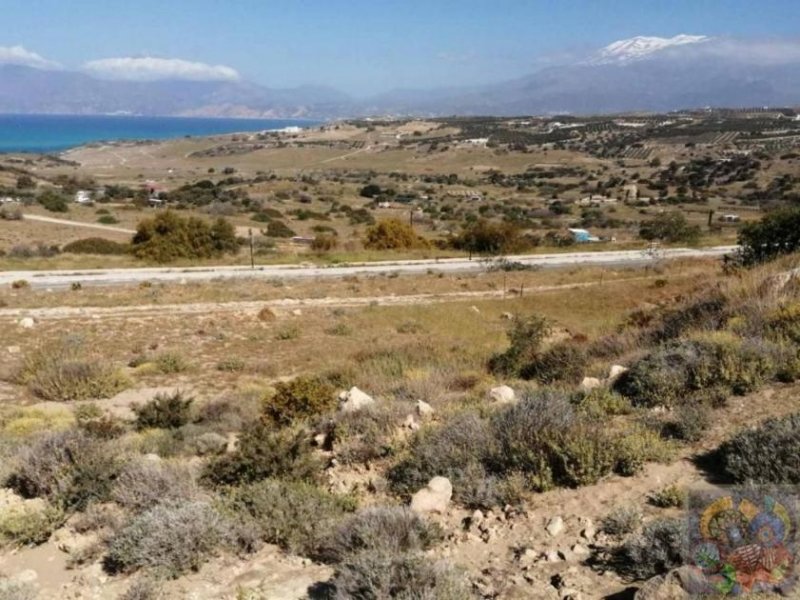 Pitsidia, Süd Kreta Pitsidia, Baugrundstück ca. 2337m² mit Meer- und Bergblick Grundstück kaufen